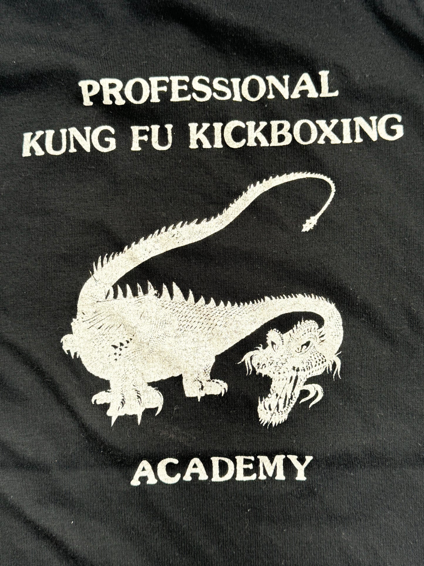 1980s Professional Kung Fu Kickboxing Academy Tee , Made in Canada
