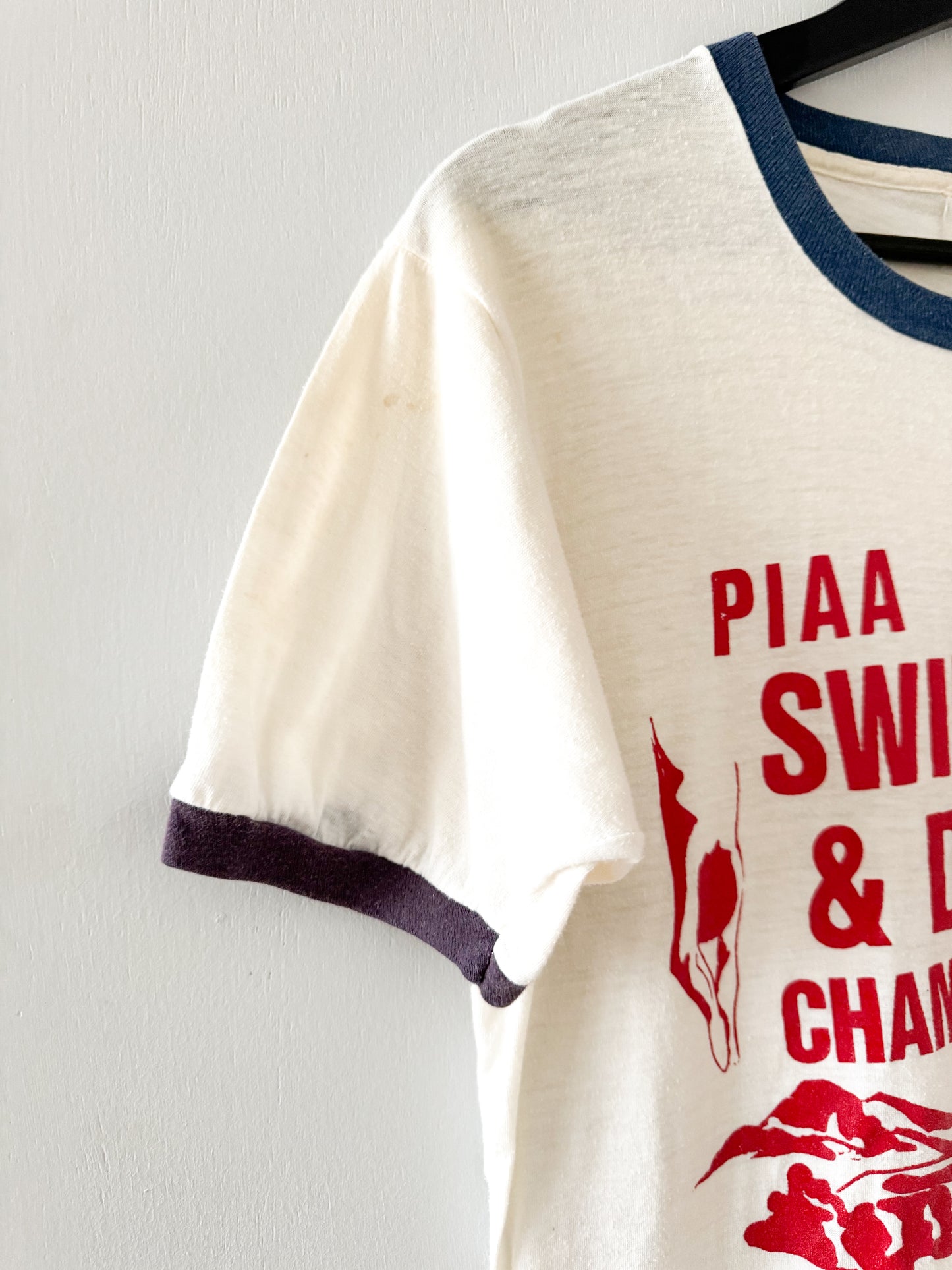1980s PIAA Swimming & Diving Championships Tee , Made in U.S.A.