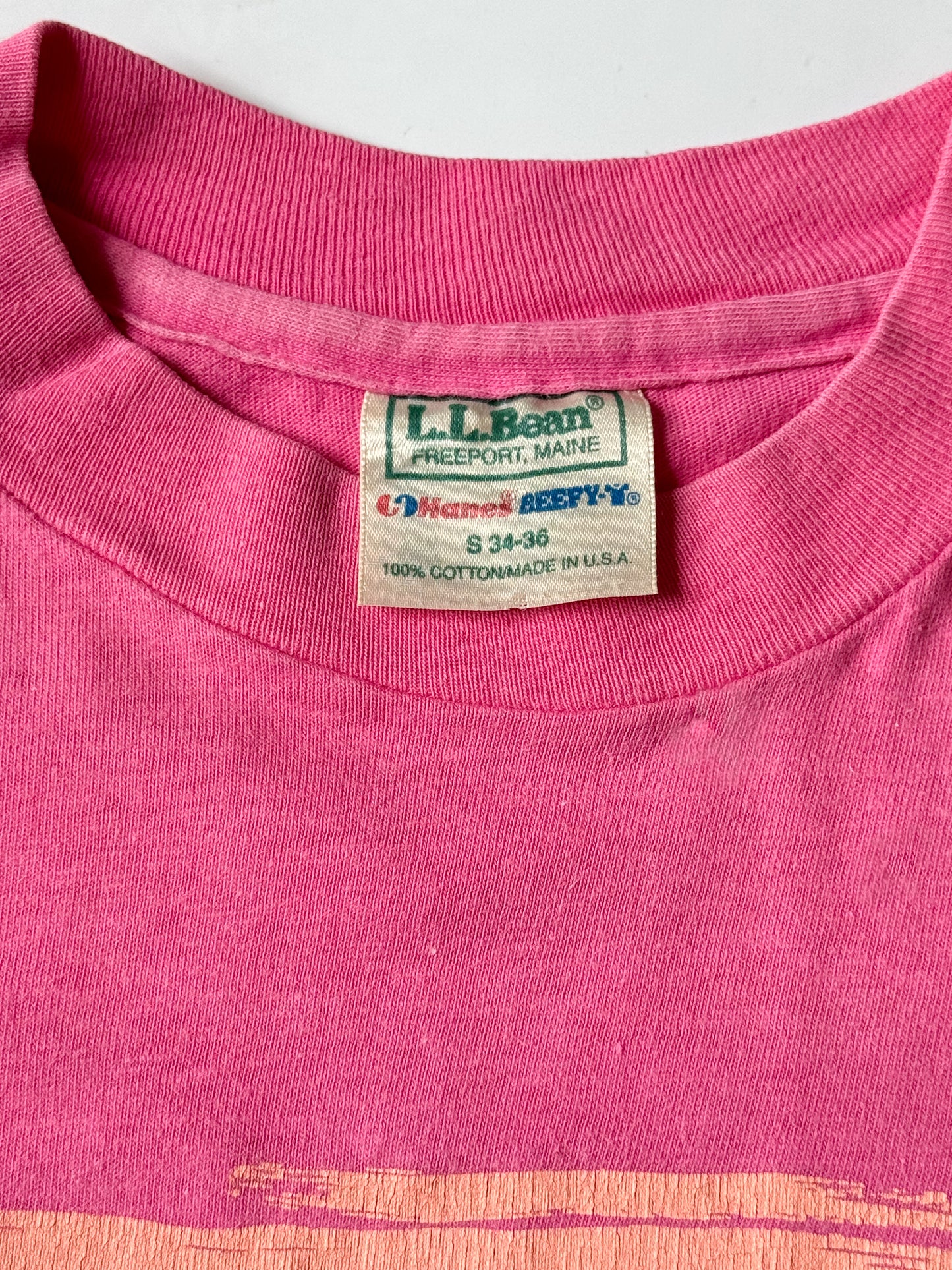 80's L.L. Bean Mountain Sunset Tee , Made in U.S.A.