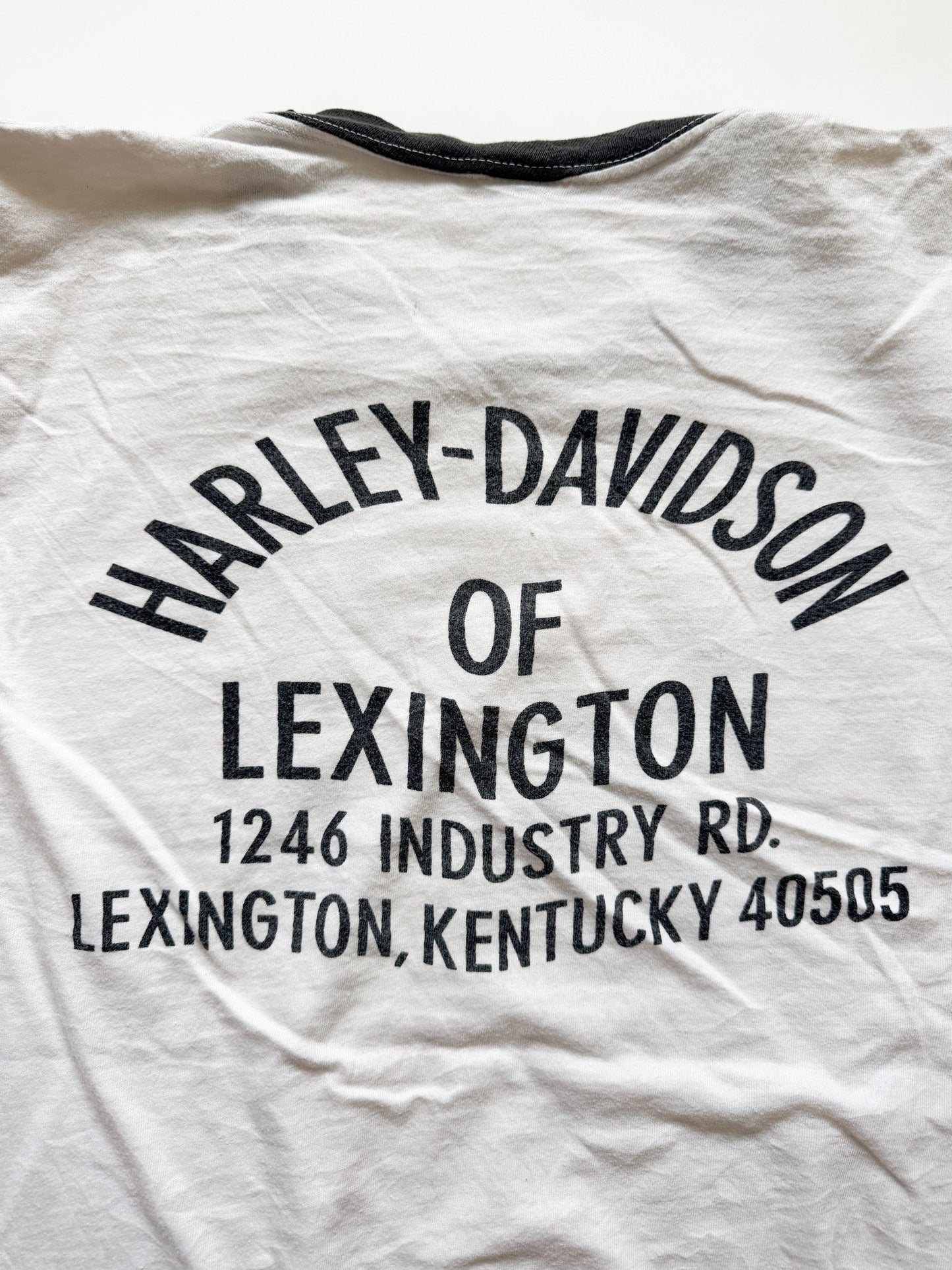 Harley Davidson No.1 Champion (1970s)