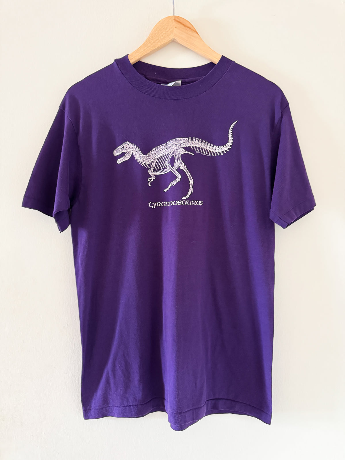 Tyrannosaurus Skeleton (1980s) - made in U.S.A.