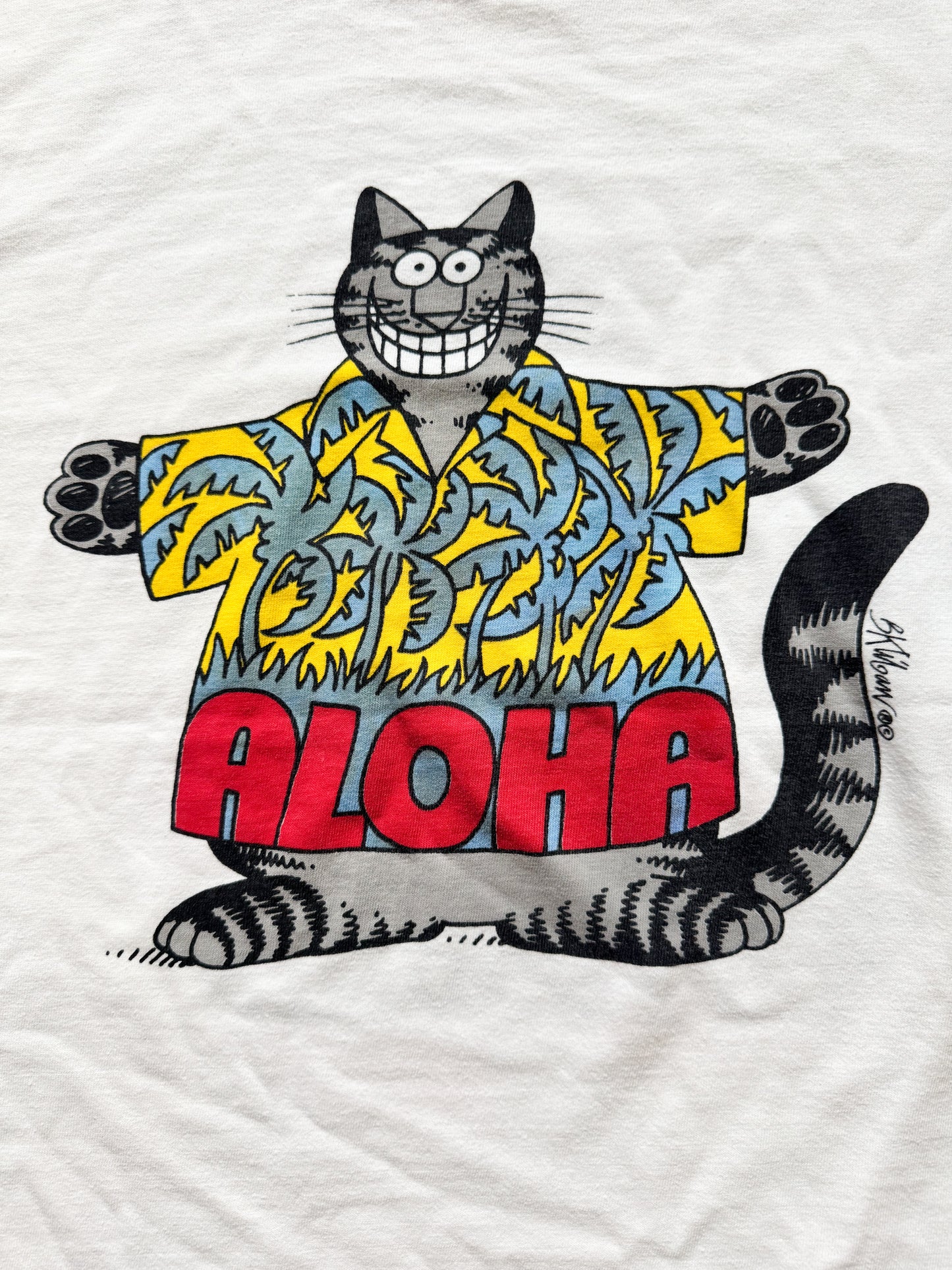 Aloha Crazy Hawaii (1980s)