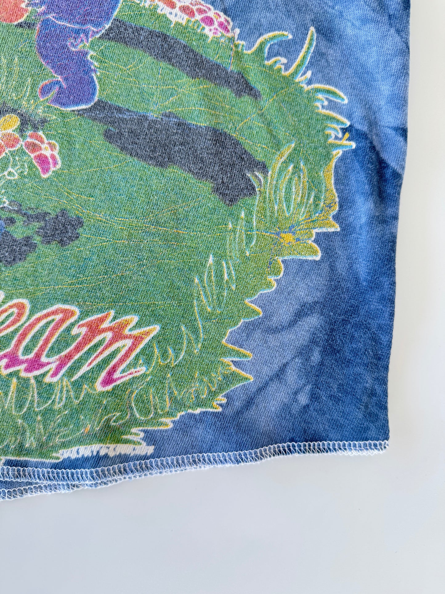 1995 Sunshine Daydream Grateful Dead Raglan Tee